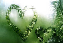 克罗斯算巨星吗