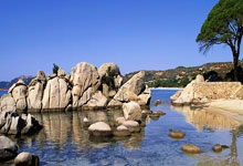 足球比分比分直播500是什么？怎么用？